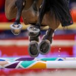 Weltcup-Finale: Pferd stirbt nach Springen