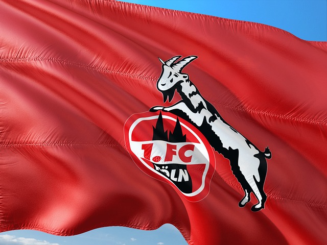 1. FC Köln trennt sich von Trainer Struber und Sport-Geschäftsführer Keller