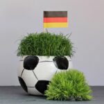 Bundestrainer Wück hält die Tür für Oberdorf zur EM offen