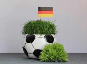 Bundestrainer Wück hält die Tür für Oberdorf zur EM offen