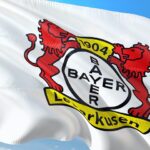 Ibrahim Maza Transfers from Hertha to Bayer Leverkusen