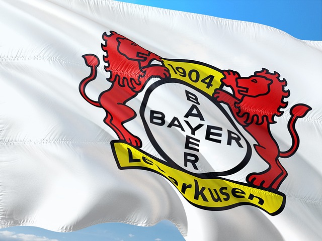 Ibrahim Maza Transfers from Hertha to Bayer Leverkusen